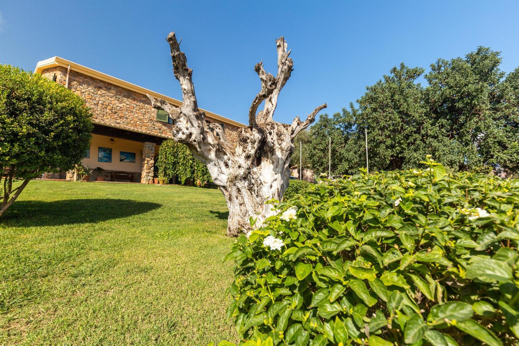 Hotel Janas Tertenìa Zewnętrze zdjęcie